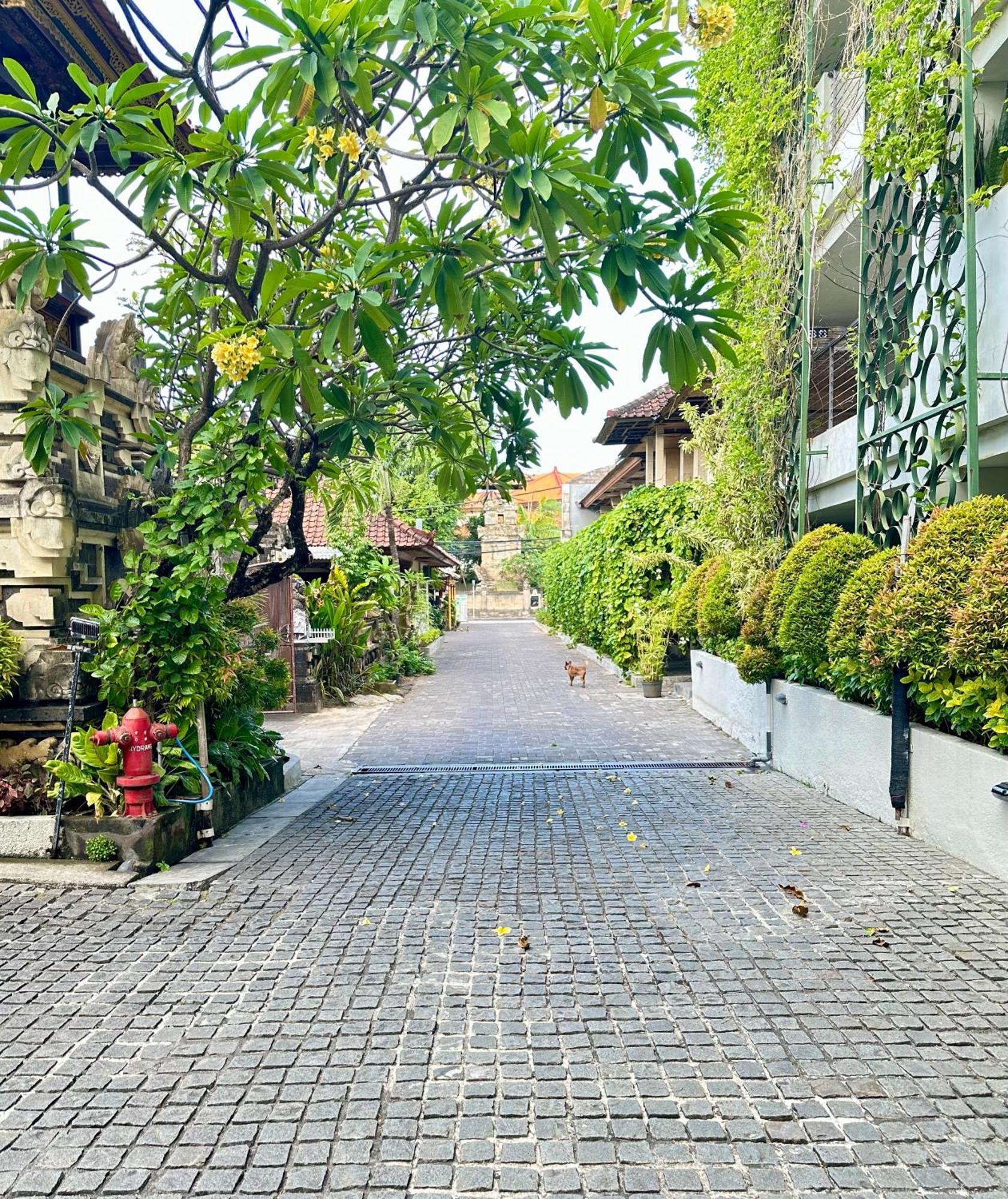 Hotel Ion Bali Benoa Nusa Dua  Esterno foto
